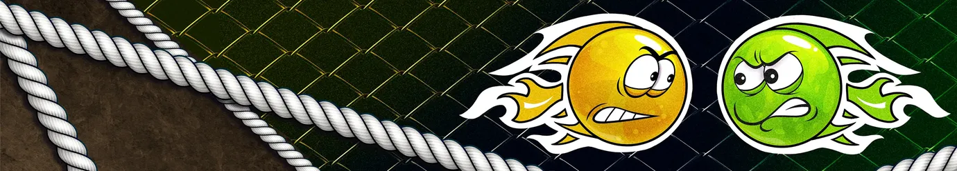 Liga Internacional MMA